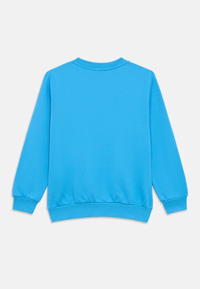 Φωτεινό γαλάζιο φούτερ από μαλακό ύφασμα. Διαθέτει μακριά μανίκια, ριμπ μανσέτες και στρογγυλή λαιμόκοψη. Καθαρή πλάτη χωρίς σχέδια ή στολίδια.