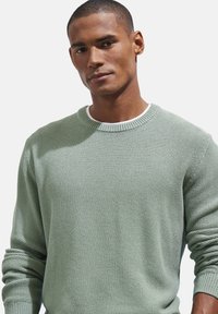 Hellgrüner strukturierter Pullover mit Rundhalsausschnitt und gerippten Bündchen, der ein gewebtes Muster und eine lockere Passform aufweist.