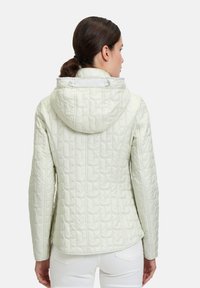 Giacca trapuntata di colore chiaro con cappuccio. Il tessuto ha una leggera lucentezza, con un design aderente e cuciture verticali per esaltare la forma.