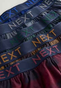 Kolorowe taśmy do bielizny z logo "NEXT" w różnych kolorach nici. Taśmy wykonane z elastycznego materiału o marszczonej fakturze.