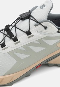 Salomon SUPERCROSS 4 GTX - Löparskor terräng - metal/white pepper/sedona sage