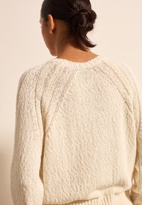 Cremfarbener gestrickter Pullover mit strukturiertem Finish, Raglanärmeln und Rundhalsausschnitt. Die Rückansicht hebt die Nahtdetails hervor.