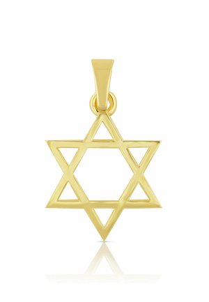ANHÄNGER DAVIDSTERN , 20X12MM - Anhänger - gelbgoldfarben