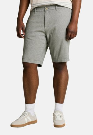 TOM TAILOR PLUS SIZE - CHINO SHORTS MIT STRETCH - Shorts - deep leaf green structure