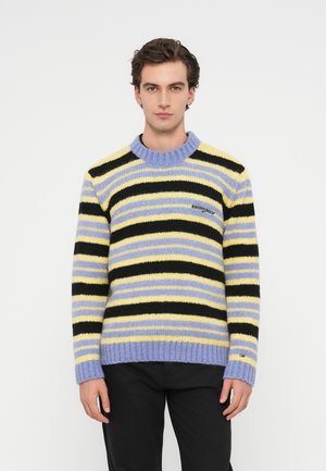 Junger Mann, der einen gestreiften Pullover in Pastellgelb, Schwarz und Lavendel trägt, vor einem schlichten weißen Hintergrund steht.