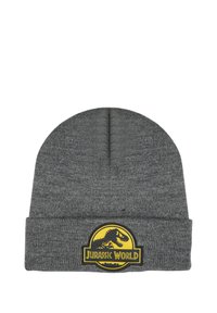 Szara dzianinowa czapka z mankietem. Posiada okrągłe logo Jurassic World w czerni i żółci z grafiką dinozaura. Miękka w dotyku.