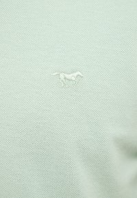 Šviesiai žalias polo marškinėliai, pasižymintys tekstūruotu mezgimo audiniu ir mažesniu siuvinėtu žirgo simboliu kairėje krūtinės pusėje.