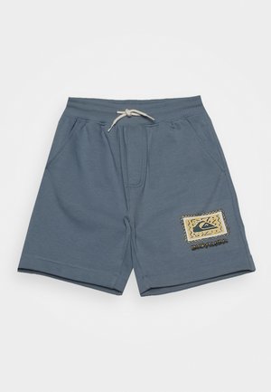 STIR ROOTS UP YOUTH - Šortky - faded denim