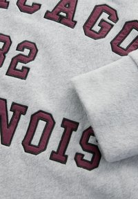 Next HALF ZIP - Flisinis džemperis - grey chicago