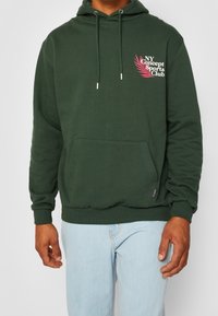 Sudadera verde con un bolsillo tipo canguro, capucha con cordón y logo en el pecho izquierdo. Puños y dobladillo de canalé. Textura suave de mezcla de algodón.