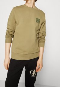 Felpa color khaki con collo a giro, polsini e fondo a costine. Presenta un piccolo logo verde sul lato sinistro del petto.