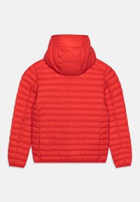 Rote gepolsterte Jacke mit Kapuze, ausgestattet mit horizontalem Steppmuster, weichem Material und elastischen Bündchen. Die Rückansicht zeigt eine vollständige Abdeckung, ohne Verschlüsse.