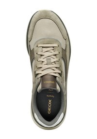 Sneaker in suede e mesh khaki chiaro con accenti beige, punta rotonda, lacci piatti e un sottopiede imbottito nero con brandizzazione dorata.