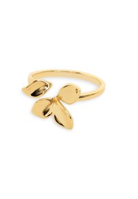 Goldring mit minimalistischen Design, auf einer Seite mit zwei geschwungenen Blattformen, glatter Textur und polierter Oberfläche.