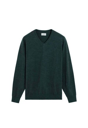 CLASSIC V NECK - Jersey de punto - duck