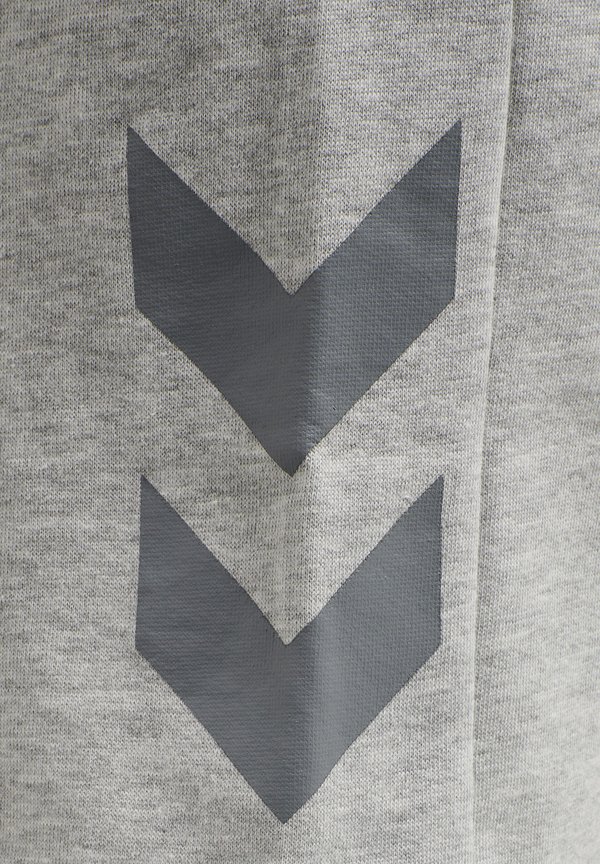 HMLLEGACY - Sports shorts2