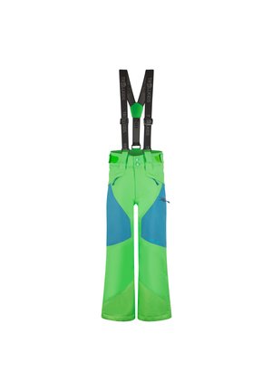 TROLLKIDS KONGSBERG - Ski pants - fresh green