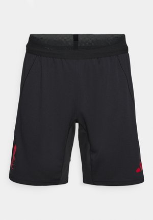 adidas Performance LIVERPOOL FC 25/26 PRO TRAINING SHORTS - Klub merchandise - black
