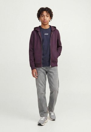 Jack & Jones Junior, TROUSERS TROUSERS BOYS - Broek - silver pine