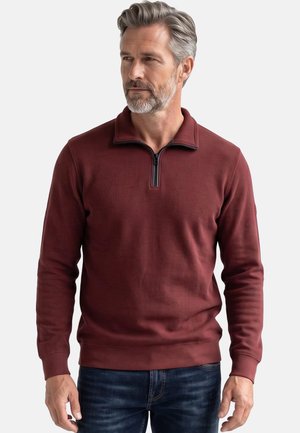 Mand i midten af fyrrerne med gråt hår og skæg, iført en bordeaux kvart-zip sweater og mørkeblå jeans, der kigger til siden.