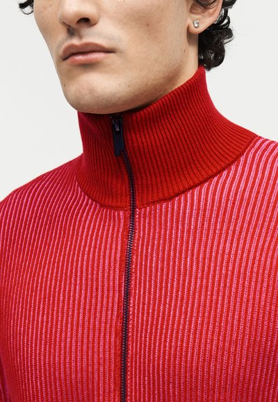 Κοντινό πλάνο ενός ατόμου που φοράει κόκκινο και ροζ κάθετα ριγέ ζακέτα με φερμουάρ, ψηλό γιακά και ένα μόνο καρφί σκουλαρίκι.