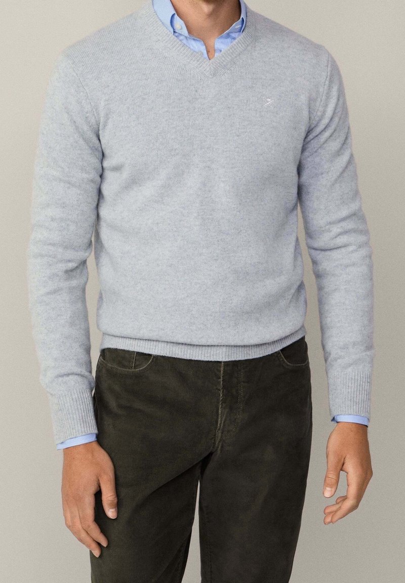 Homme portant un pull gris clair à col en V sur une chemise bleue et un pantalon vert foncé, debout les bras détendus le long du corps.