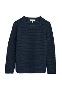 Seasalt Cornwall Sweter