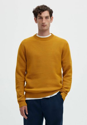 Mand med krøllet mørkt hår bærer en karrygul strikket sweater over en hvid skjorte og mørkeblå bukser mod en ensfarvet lys baggrund.