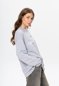 Lichtgrijze lange mouwen sweatshirt gemaakt van zachte stof, met een groen logo op de borst, een relaxte pasvorm en verlaagde schouders.
