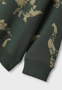 Sweatshirt vert mettant en avant un motif de dinosaure en beige. Manches et ourlet côtelés, fabriqué à partir d'un tissu doux au toucher lisse.