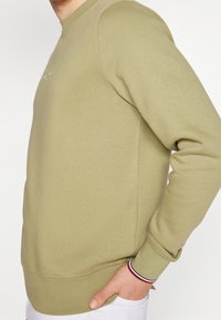 Felpa verde oliva con collo rotondo, polsini e orlo a costine. Presenta un semplice logo sul petto e un tessuto strutturato.