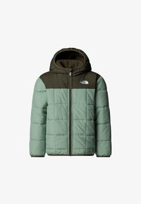 Izbrano, slate moss/new taupe green