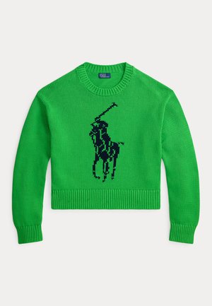BIG PONY COTTON CREWNECK SWEATER - Džemperis - palm green