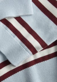 Il tessuto del maglione azzurro chiaro presenta strisce verticali bordeaux e bianche. La textura è liscia con dettagli a coste sul colletto e sull'orlo.