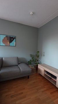 Szara sofa obok drewnianej podłogi i niskiej drewnianej szafki pod telewizor, z zielonym rośliną i oprawioną w ramkę grafiką na ścianie przedstawiającą profil kobiety na niebieskiej ścianie.