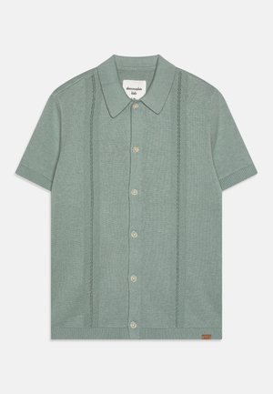 Abercrombie & Fitch Shirt - grey mist