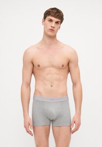 Boxer-briefs en coton gris avec une ceinture élastique gris clair, arbore un logo discret. Texture lisse, design ajusté et longueur jusqu'à mi-cuisse.