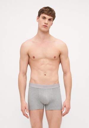 Graue Baumwoll-Boxershorts mit einem hellgrauen elastischen Bund, der ein dezentes Logo aufweist. Glatte Textur, eng anliegendes Design und Länge bis zur Mitte des Oberschenkels.
