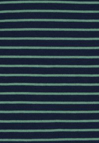 Tessuto a maglia con strisce orizzontali alternate di blu navy e verde chiaro, con una consistenza morbida e un motivo equidistante.