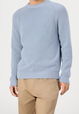 Hellblau gestreifter Pullover mit rundem Hals, langen Raglanärmeln und strukturiertem Finish. Kombiniert mit beigen Hosen, alles vor einem weißen Hintergrund.