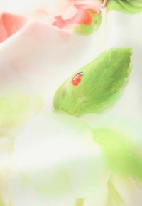 Stof met bloemenpatroon in zachte tinten van roze en groen, met een opvallende lieveheersbeestje op een blad. Glad oppervlak, lichtgewicht materiaal.