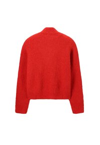 Roter, samtig strukturierter Langarmpullover mit hohem Halsausschnitt und leicht verkürztem Saum, von hinten auf einem weißen Hintergrund dargestellt.