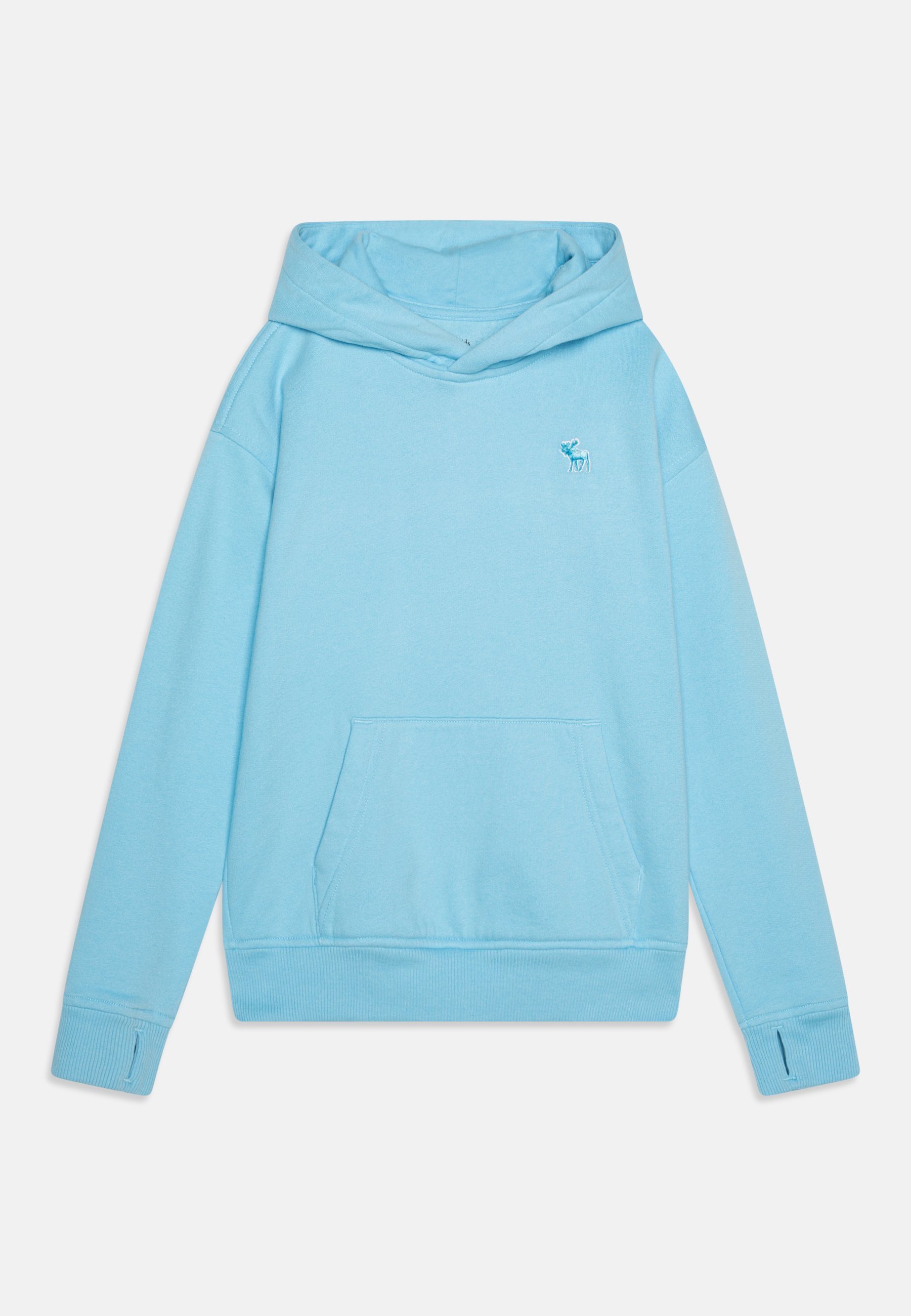 Abercrombie Fitch ICON ESSENTIAL Felpa con cappuccio blue