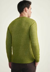 Sweter dzianinowy w jasnym zielonym kolorze, z teksturowanym wzorem, okrągłym dekoltem oraz ściągaczami przy rękawach i u dołu. Pokazany z tyłu.