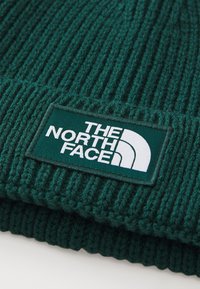 Zöld bordás kötött sapka, amely gyapjúból készült, egy téglalap alakú címkével, rajta a "THE NORTH FACE" felirattal és egy ívelt fehér logóval.