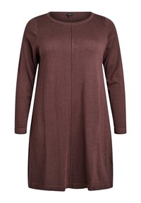 Bruine gebreide jurk met lange mouwen, ronde halslijn en een naaddetail aan de voorkant. Zachte textuur, ontspannen pasvorm, knie-lengte ontwerp.