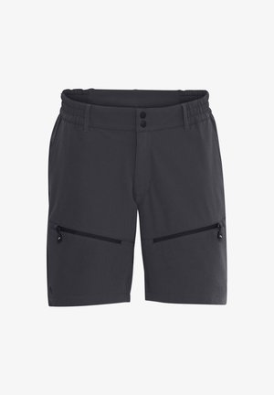 Gray shorts with an elastic waistband, two zippered pockets, and a smooth texture. Features two buttons at the waist for closure.