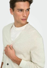 Lichtbeige cardigan met een V-hals, een gestructureerd breisel en zwarte knopen. Draagt over een crèmekleurig shirt, met een ontspannen pasvorm.