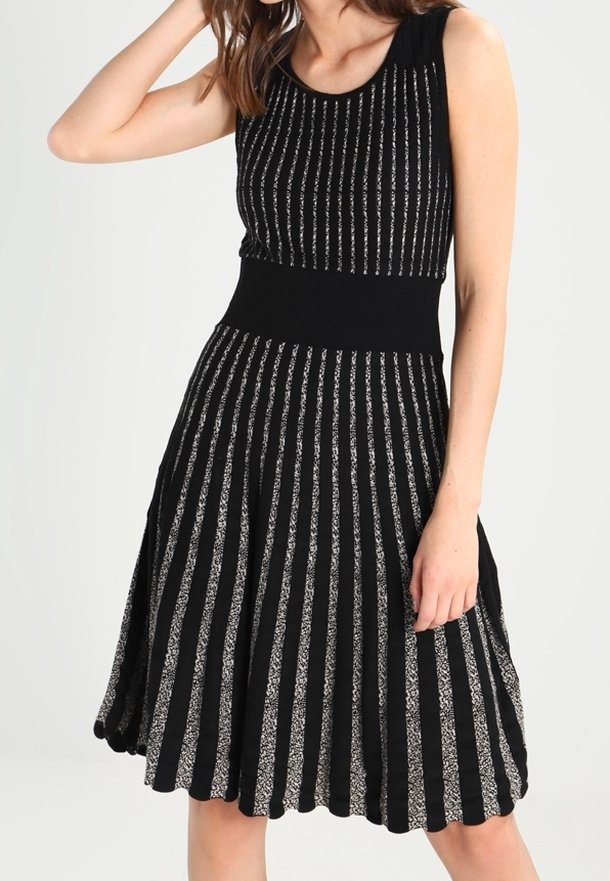 Černé šaty se stříbrným pruhovaným vzorem. Top bez rukávů s obepnutým pasem, rozšířenou sukní a texturovanou látkou.