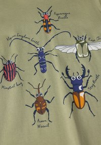 Vihreä kangas, jossa on värikkäitä kuvastoja erilaisista kovakuoriaisista: alppikurokku, parsa, minstrel, tamme- ja sarvilude sekä ruusukovakuoriainen.